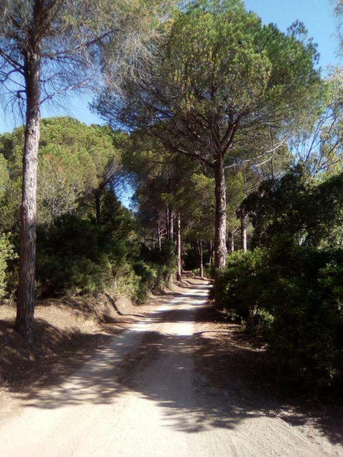 Appartamento Vacanze Sardegna Siniscola Exterior foto